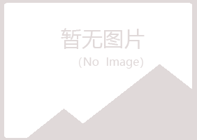 大连中山夜山能源有限公司